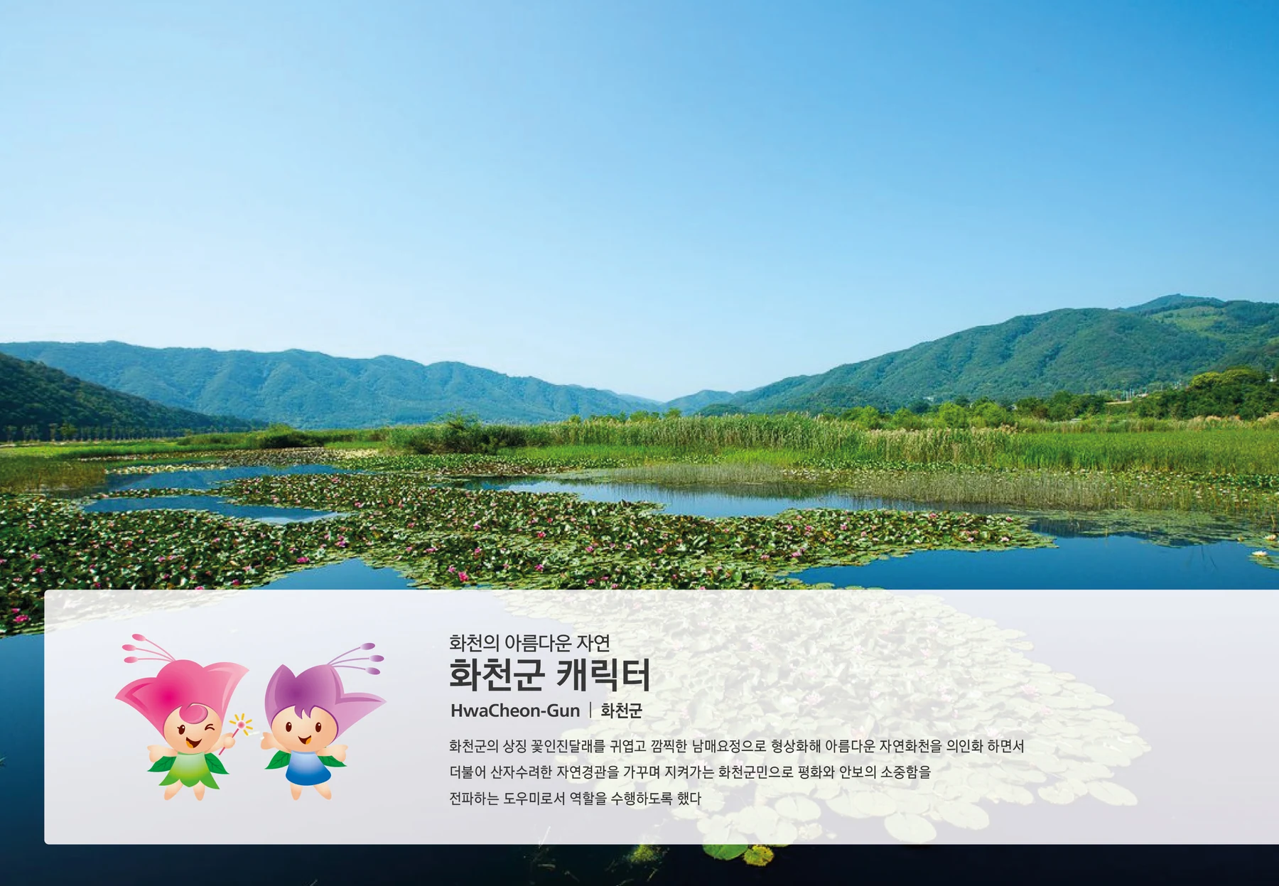 화천군 캐릭터 산이와 진이 — 캐릭터 기본형과 적용 디자인