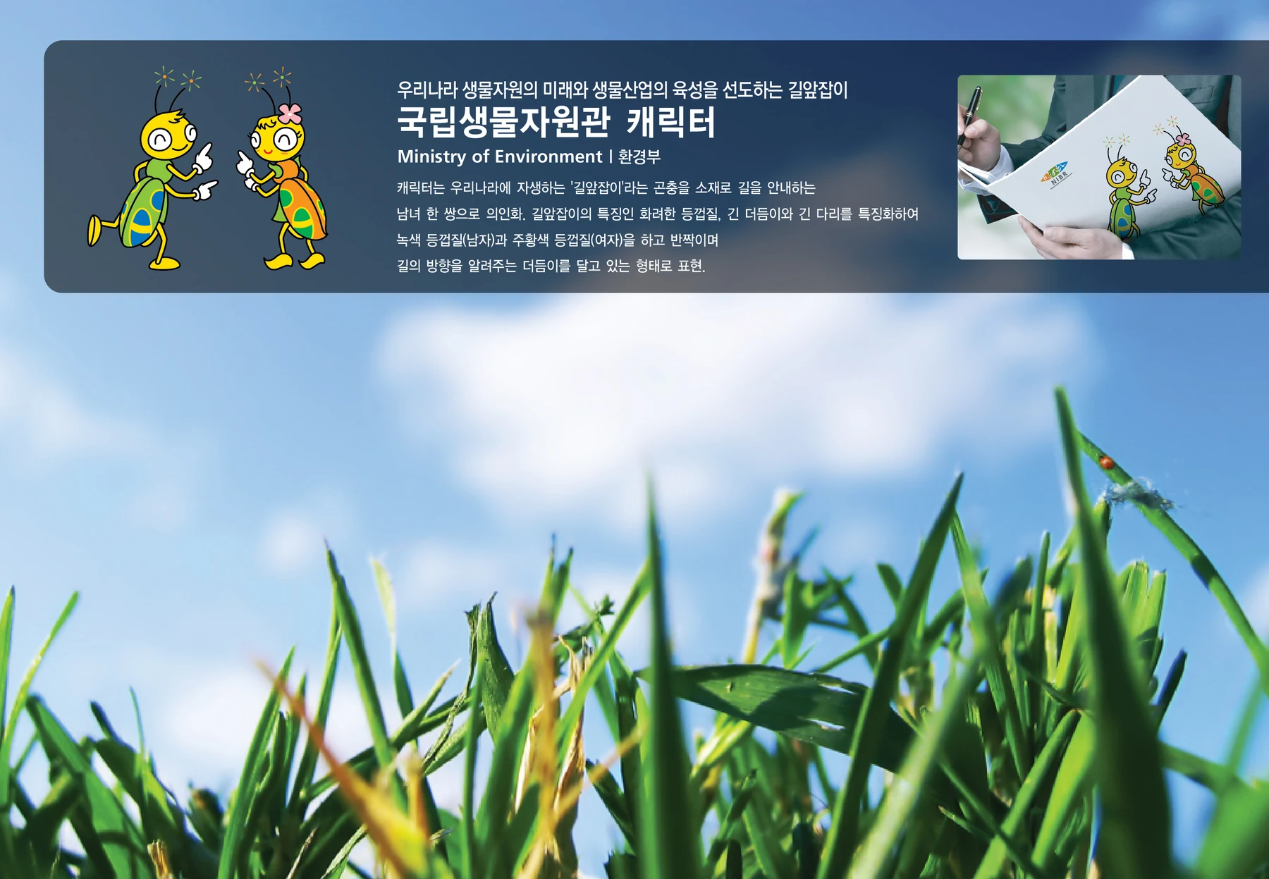 국립생물자원관 캐릭터 — 캐릭터 기본형과 적용 디자인