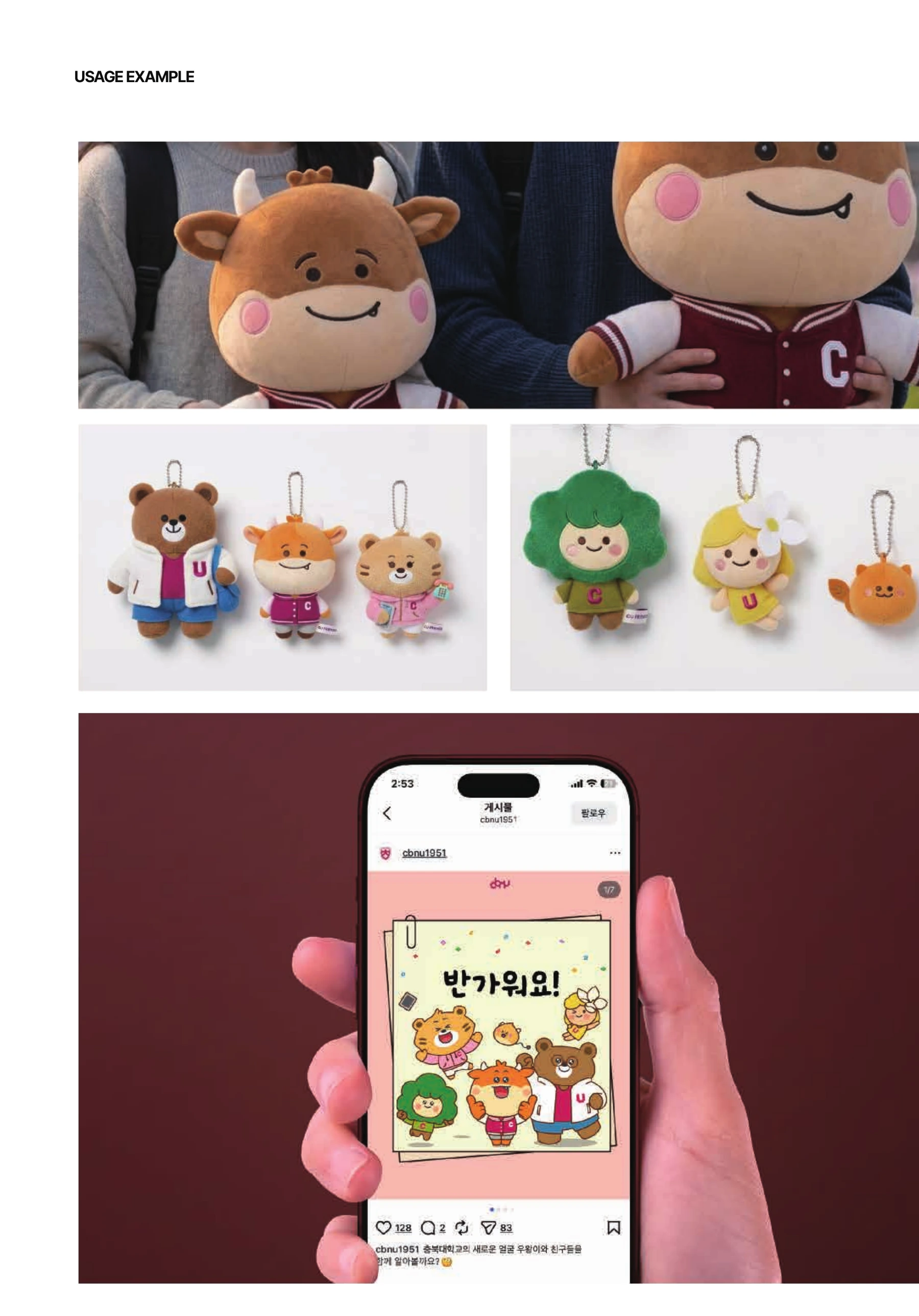 충북대학교 UI·CBNU 프렌즈 — CBNU 프렌즈 인형과 이모티콘 적용 자료
