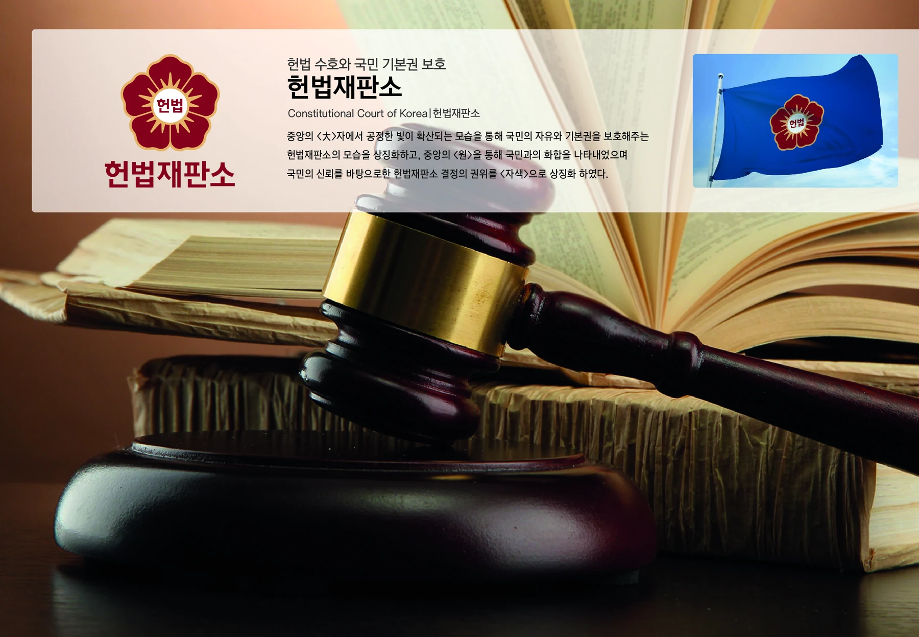 헌법재판소 — 아이덴티티와 깃발 적용 보드
