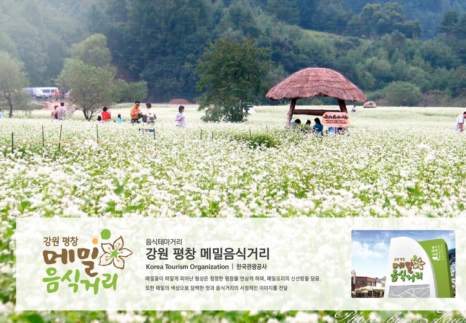평창 메밀음식거리 BI — 심벌·로고 조합