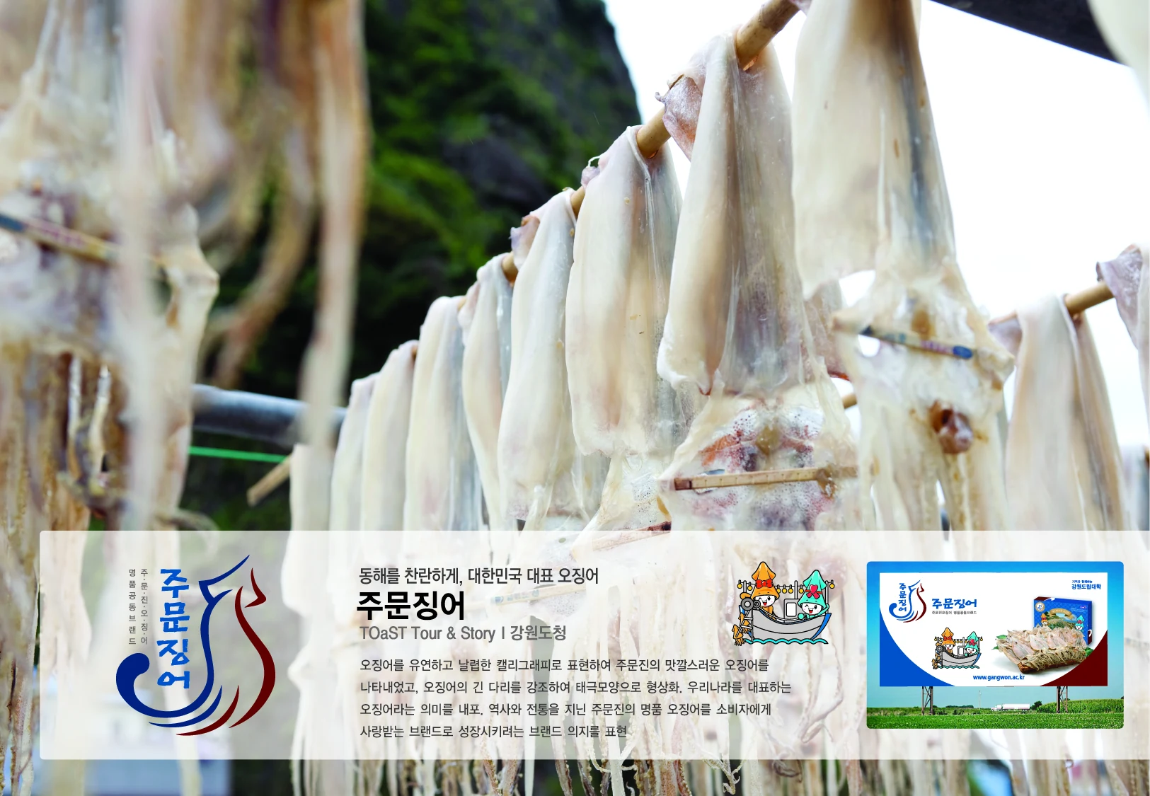 주문징어 — 아이덴티티 적용 보드