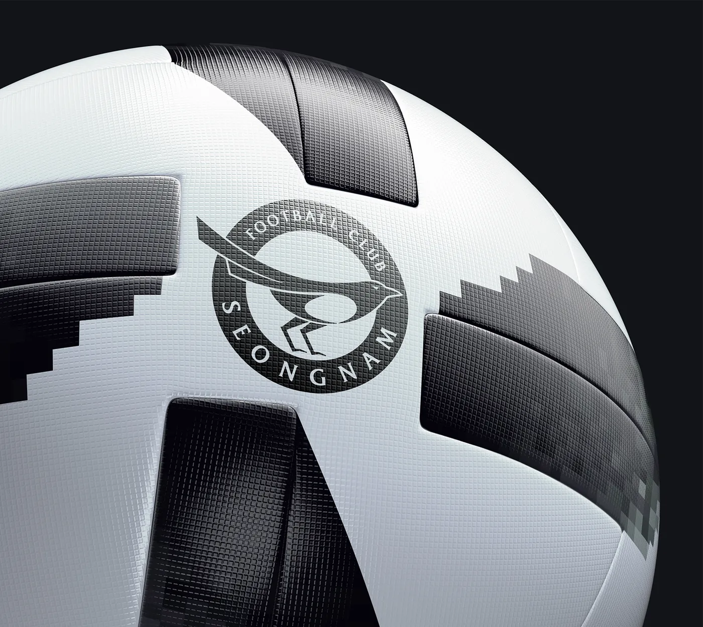 성남FC 엠블럼·BI